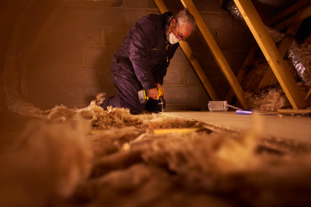 Best Basement Insulation  in Rugby, ND